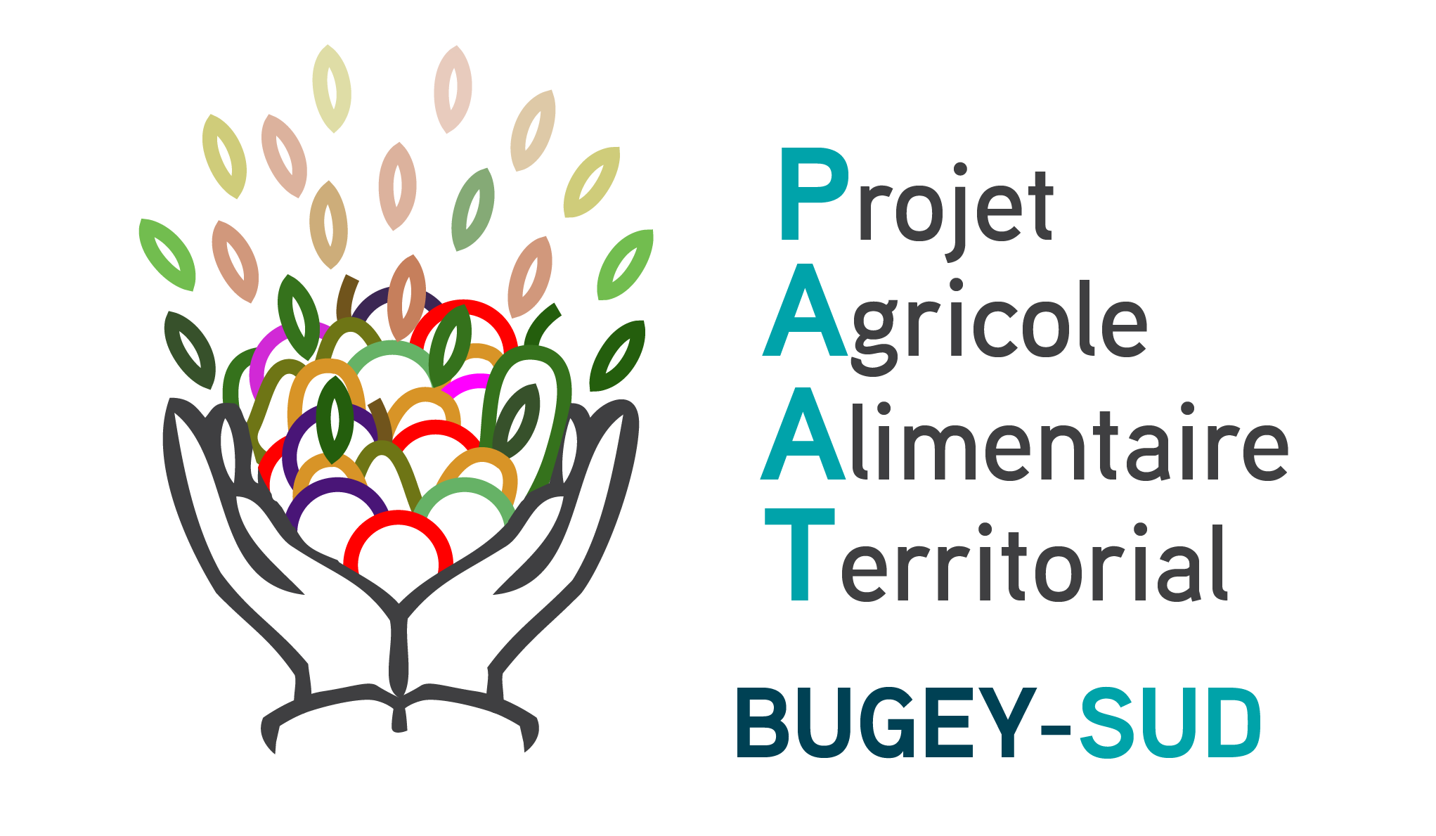 Logo du PAT