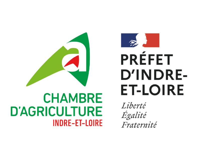 Logo du PAT