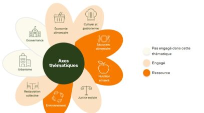 Marguerite_types_actions_PAT
