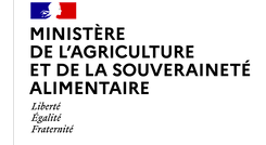 Capture d’écran 2025-06-18 170338