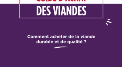 image-guide-achat-des-viandes
