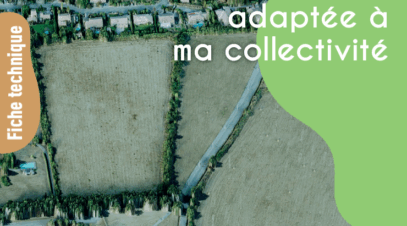 Capture-decran-2026-01-26-124442